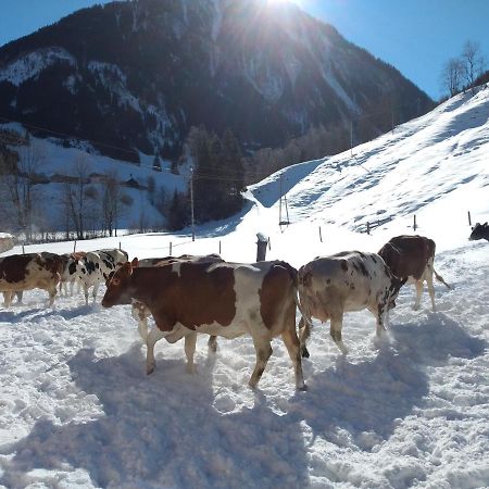 Bio-Bauernhof Schiederhof Lejlighed Fusch an der Grossglocknerstrasse Eksteriør billede