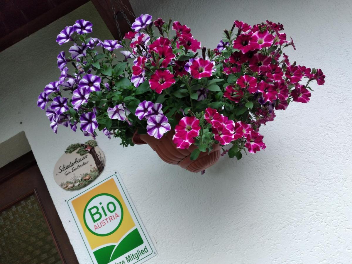 Bio-Bauernhof Schiederhof Lejlighed Fusch an der Grossglocknerstrasse Eksteriør billede